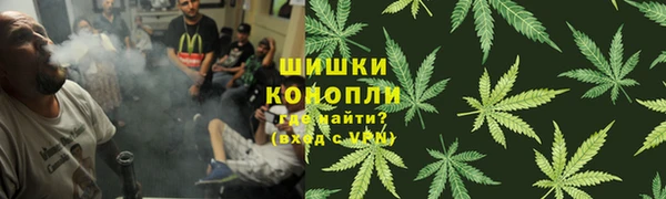 СК Заводоуковск