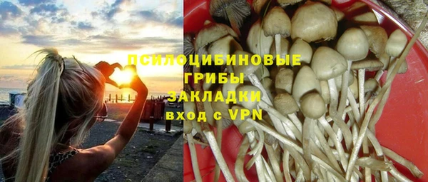 СК Заводоуковск