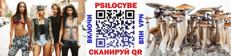 Купить где Моршанск Галлюциногенные грибы GOLDEN TEACHER